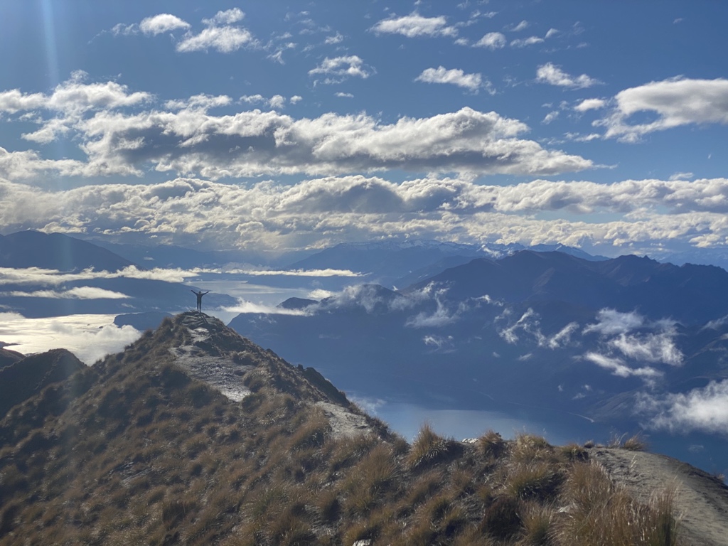 Earo Wang tweet media