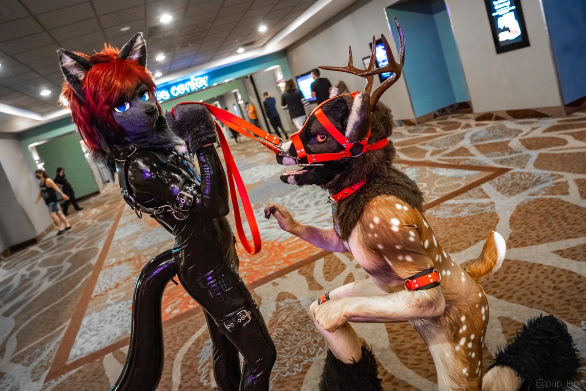 Kory💜Miki💙Razz ➡️ FC tweet media