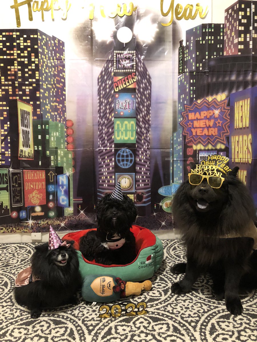 RoxienCookie's tweet image. #HappyNewYear2022 #mypets #mychowchow #mypomeranian #myshihpoo