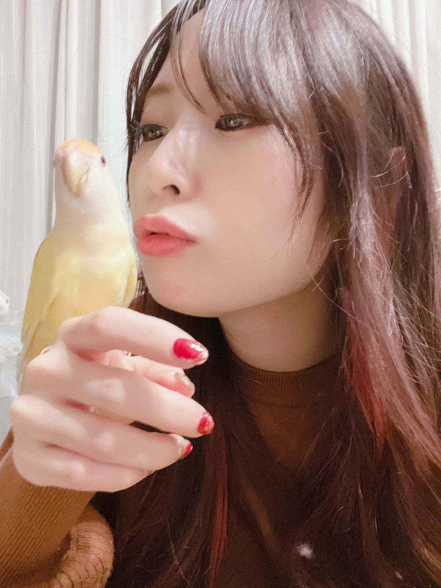 高柳明音 鳥専用 22年も どれだけ噛まれても 塩対応されても 世界一可愛い 鳥を愛します T Co Tpqqfm3pnp Twitter
