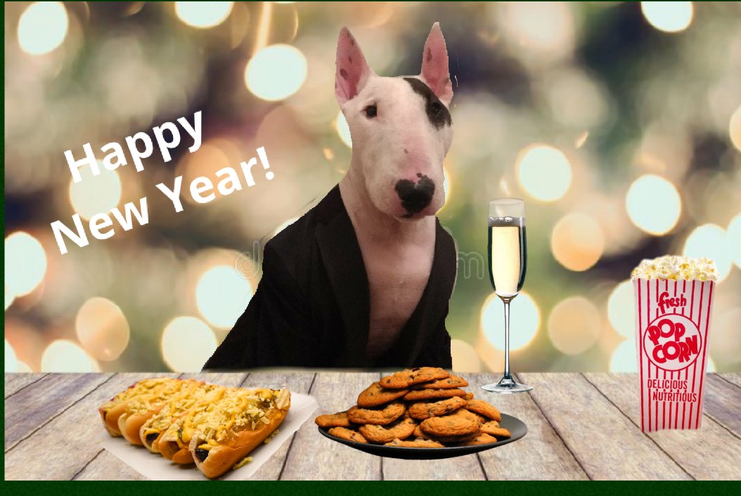 rexthetvterrier's tweet photo. I would like to wish all my friends, old and new, a very Happy, healthy, prosperous #NewYear.  Spread kindness! https://t.co/2Co3CJKcRG