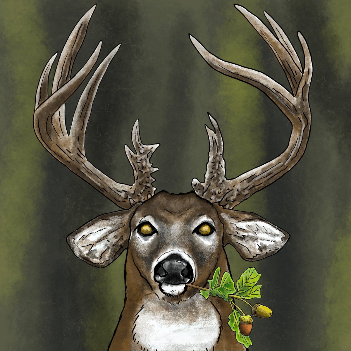 Whitetail Wall Hangers Club tweet media