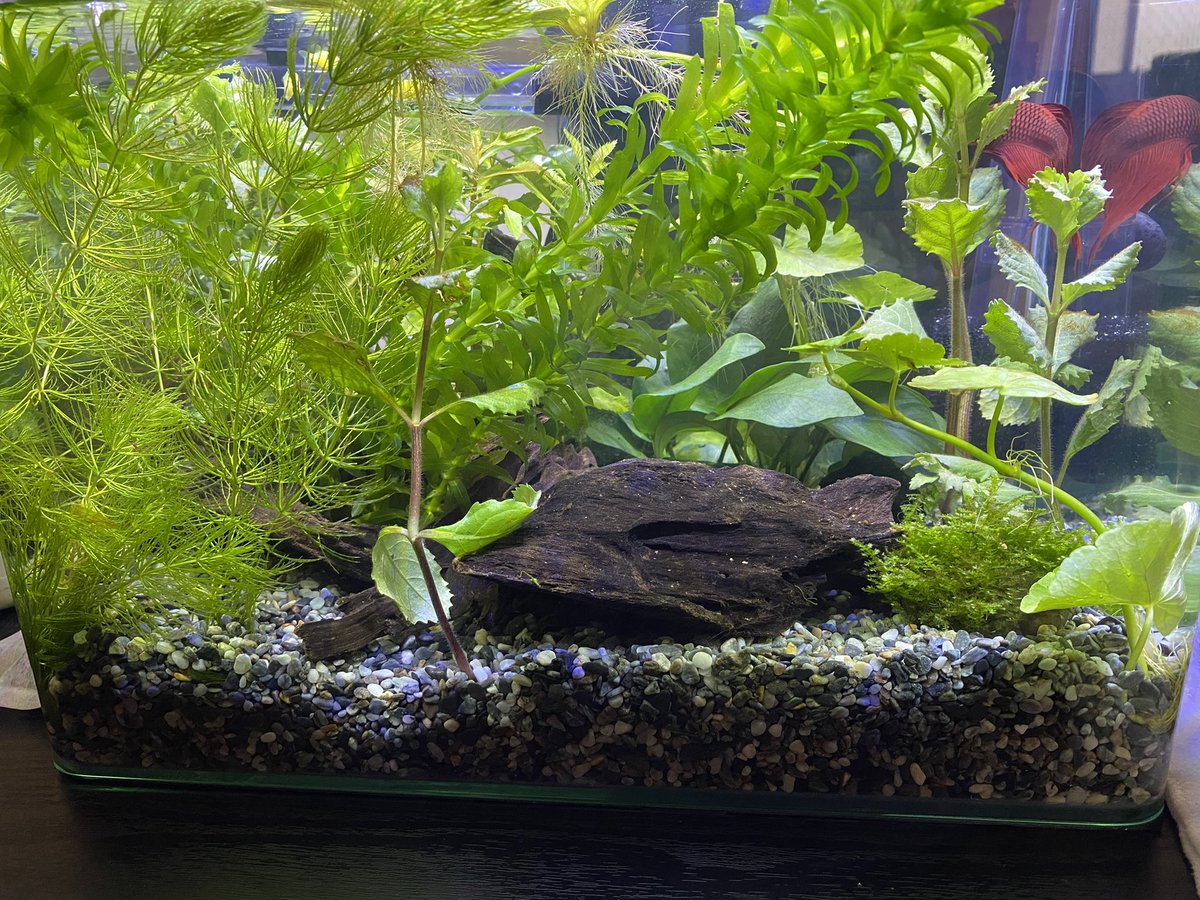 江岳樺 (@andyshenzz) on Twitter photo 