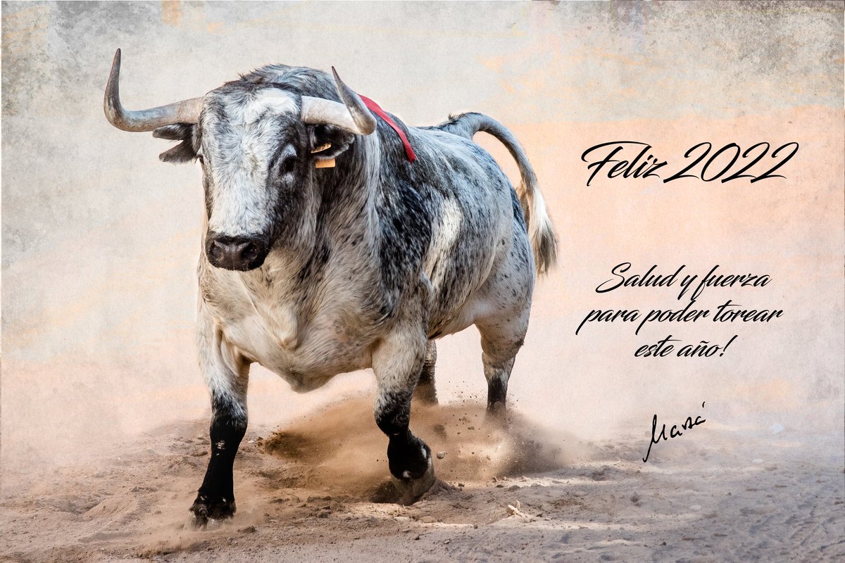 Jose Manuel Marzá (@toros_campo) on Twitter photo 