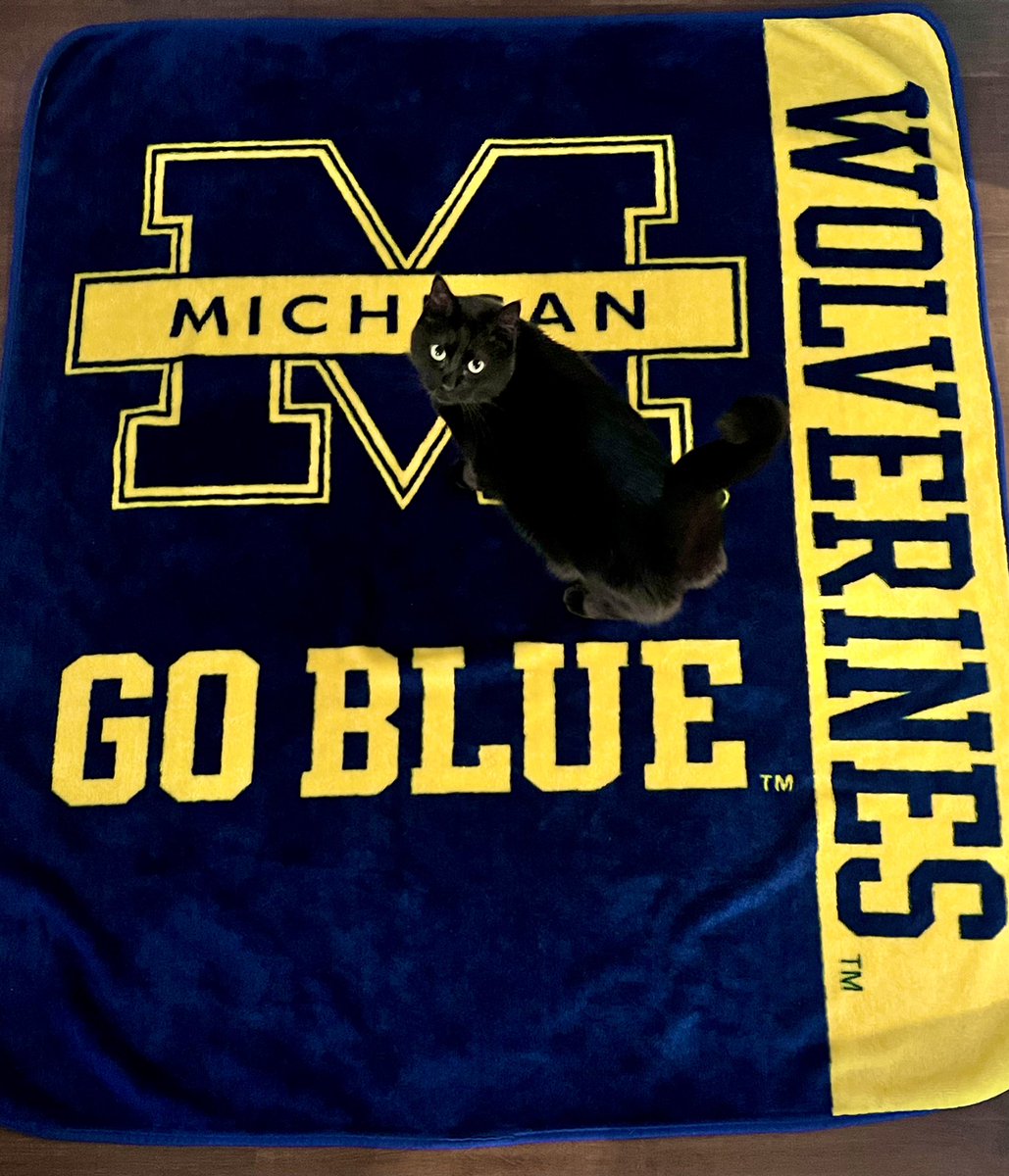 laurenatighe's tweet photo. Stella practicing Go Blue Steel against Georgia!! @UMich @UMichPets @elizabmuller #zoolander #orangebowl https://t.co/hEf0jlVbVY