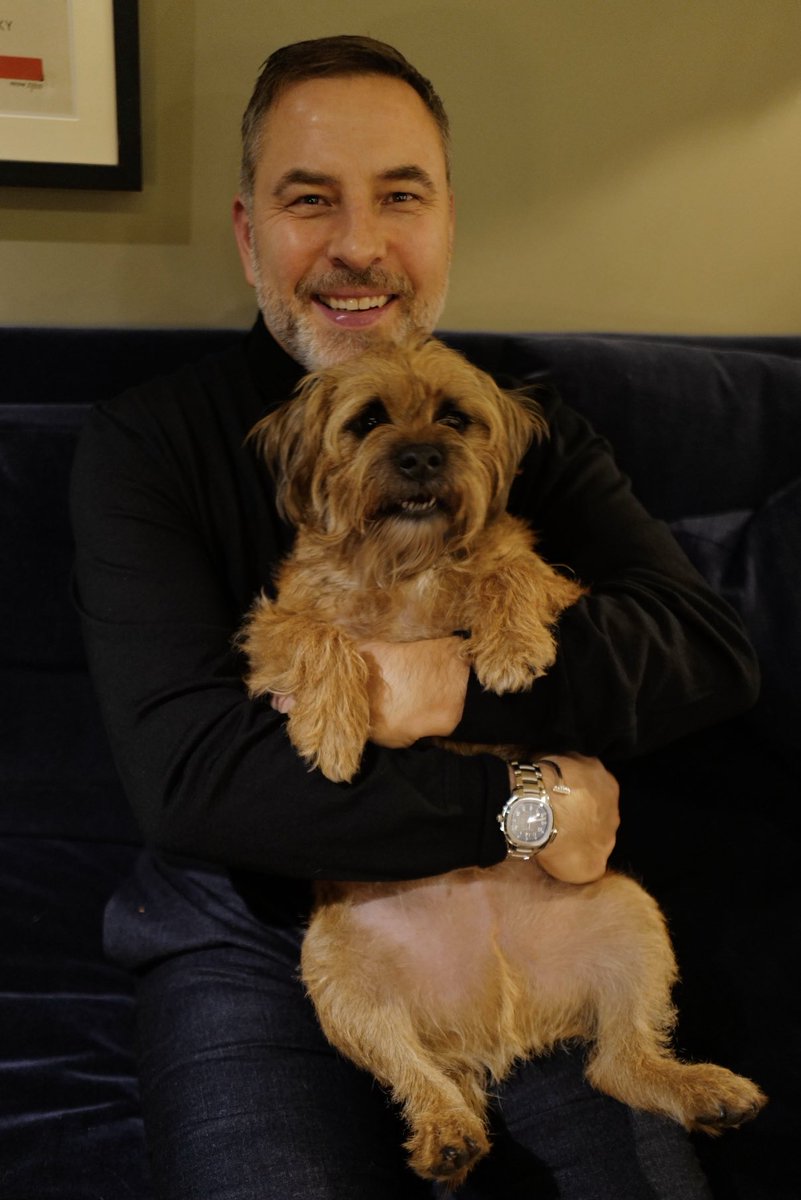 David Walliams HQ tweet media