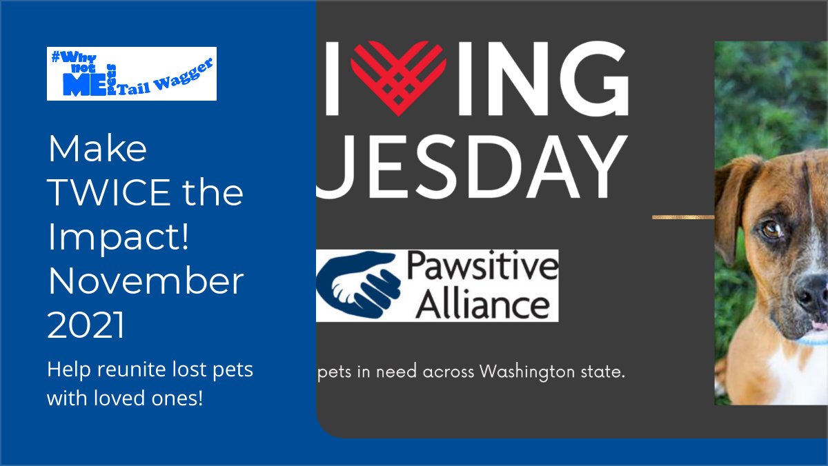 Last chance in 2021 to save lives in 2022 - mailchi.mp/pawsitiveallia…