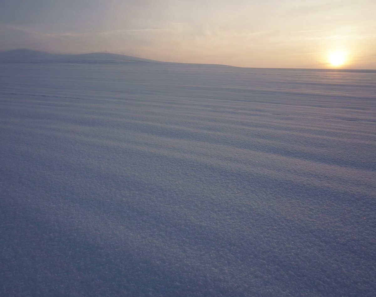 There's a long list of things we could say about the lows and highs of 2021, but we're just pleased to say that Mainstem's gotten through it all with grace and gusto.

Wishing a safe, happy, and inspirational New Year to All.

#happynewyear #craftmalt #regenerativeag #love