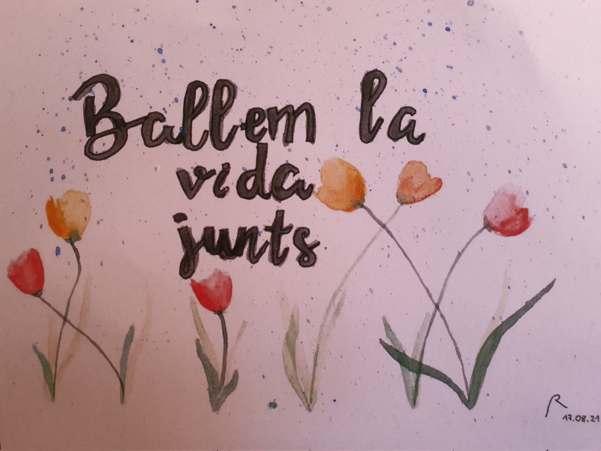 Ana Novella tweet media
