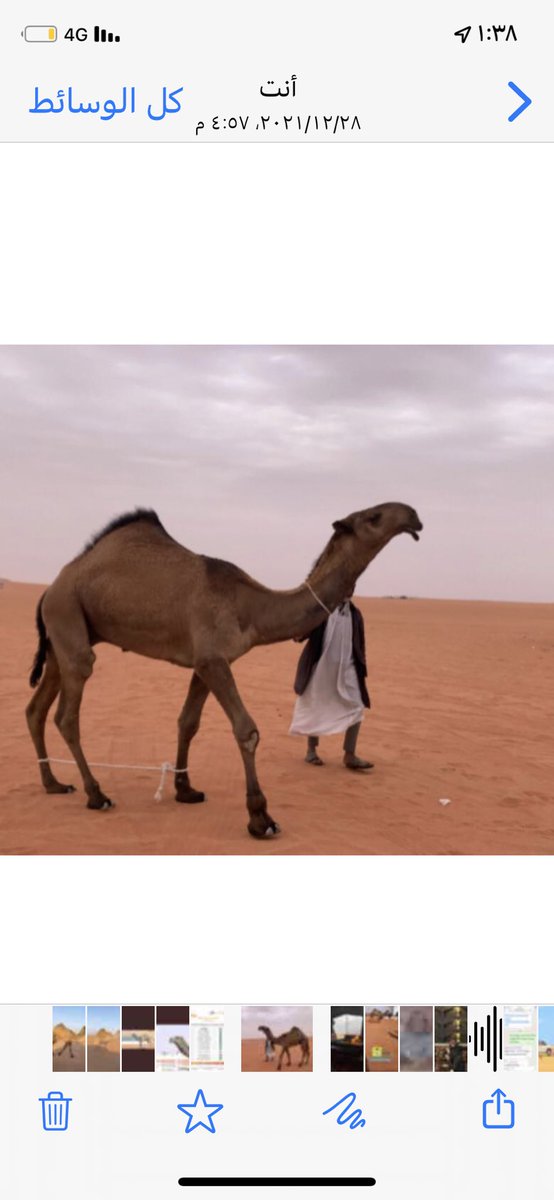 nodnod990's tweet photo. @CamelClub كيف يطلع هالعقود ماتأهل https://t.co/RccUc1NEG1