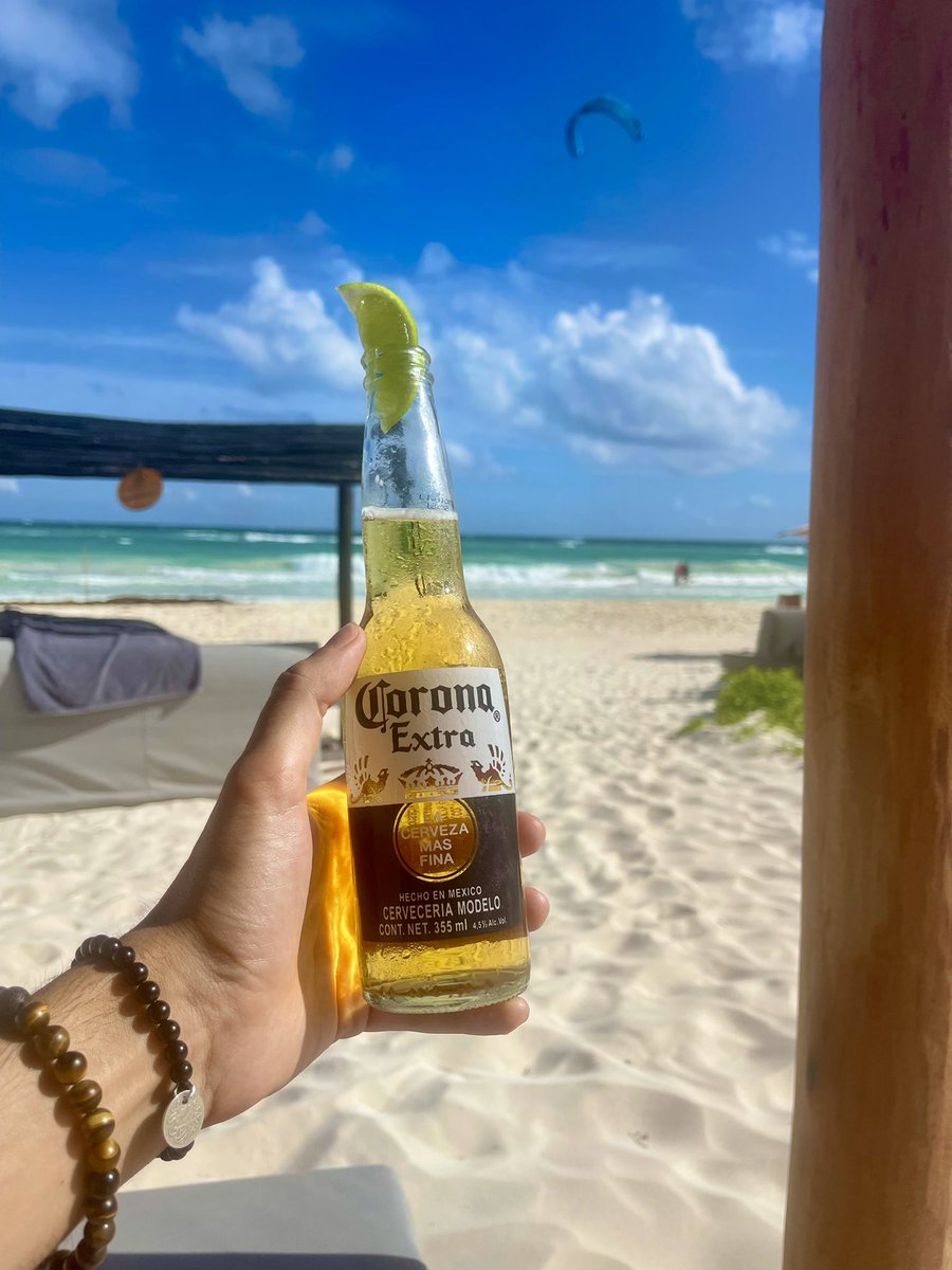 Cryptonaut tweet media