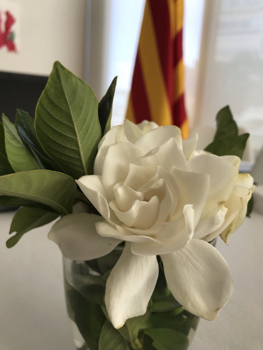 Catalunya_ARG's tweet photo. Des de la delegació del @govern de #Catalunya al #ConSud us desitgem un bon any nou!
L'any 2022 seguirem treballant per connectar Catalunya al món 🌎 de la mà de les comunitats catalanes @Catexterior @exteriorscat https://t.co/zzwgPFyhhi