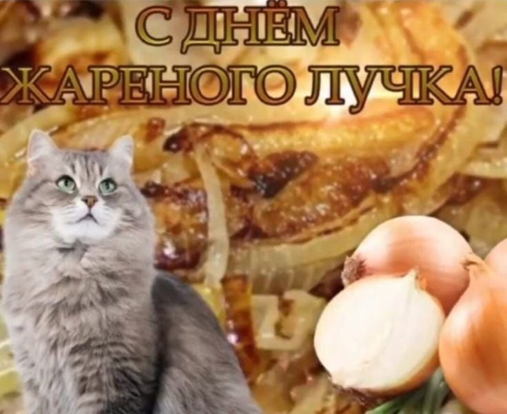 lazy_berattelse's tweet photo. с новым годом пацаны https://t.co/A4IMxkBZAO