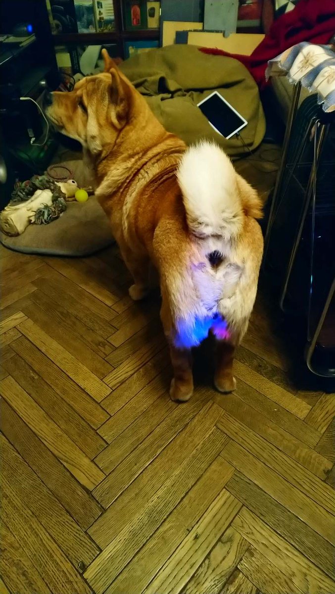 Евгений Козловский tweet media