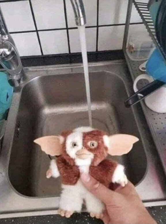 Despidamos el año a lo grande, coño.