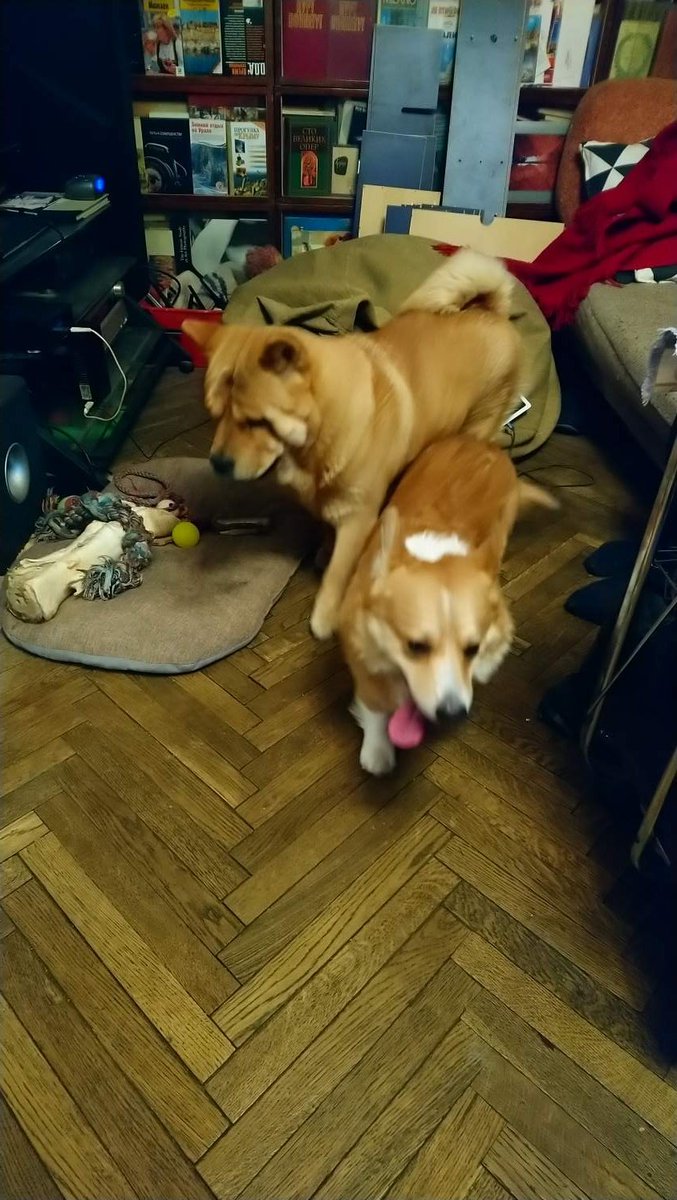 Евгений Козловский tweet media