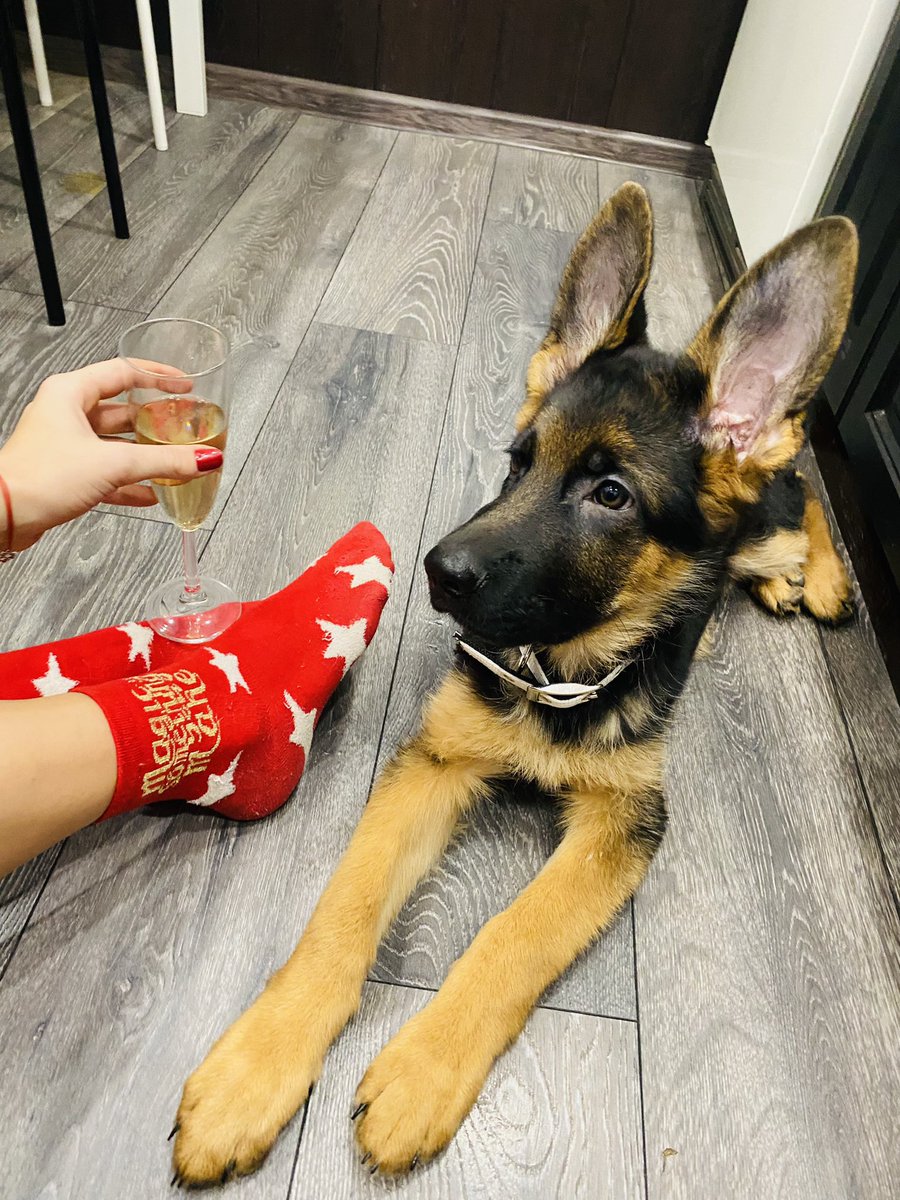 Встретила 2022 в идеальной компании ☺️🎄🎉