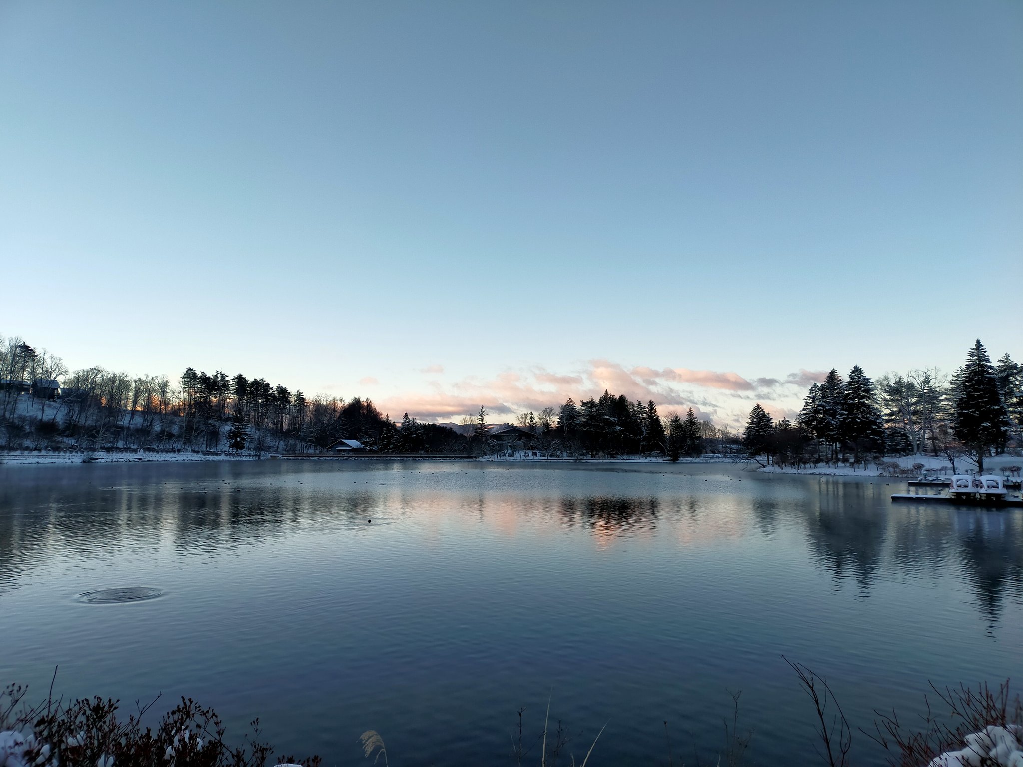 蓼の花オートキャンプ場 Twitter Search Twitter