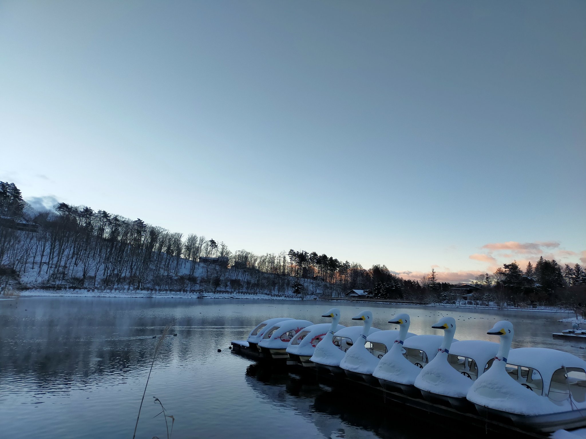 蓼の花オートキャンプ場 Twitter Search Twitter