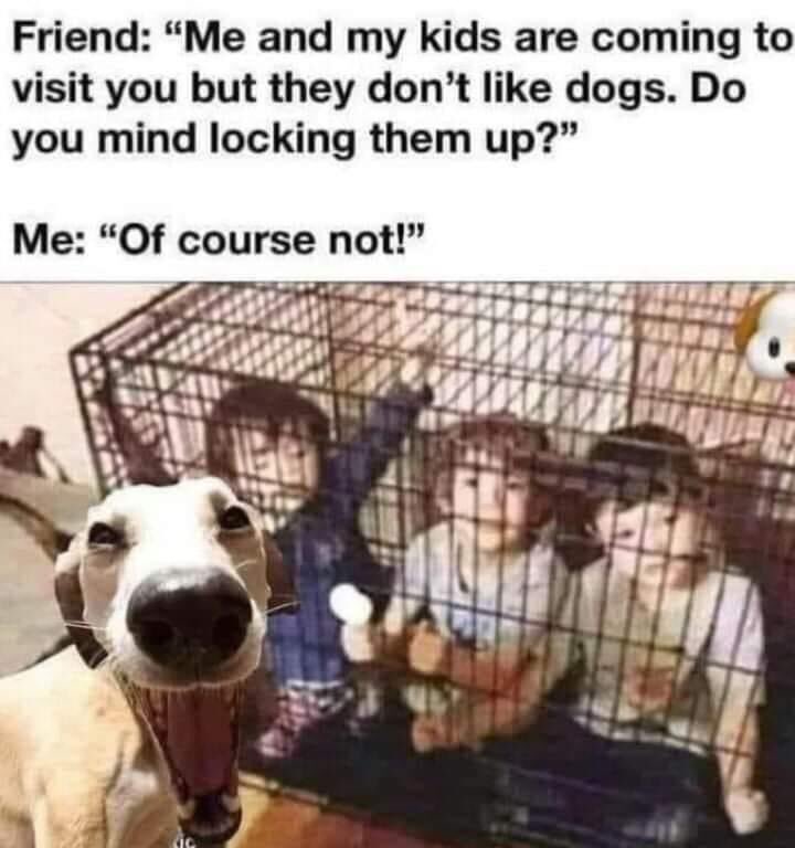 Bronja Hoffschlag 🐭 tweet media