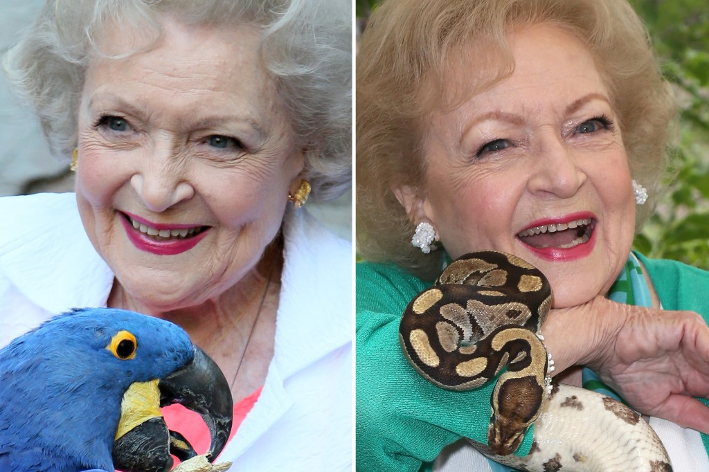 New York Post tweet media