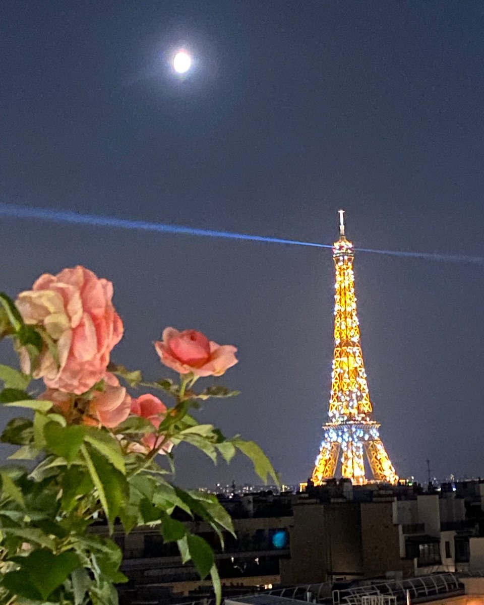 [New Year] 🍾 - Happy new year 2022 from all the teams of the hotel Regina
•
[Nouvel an] 🍾 - Bonne année 2022 de la part de toutes les équipes de l’hôtel Regina
•
•
•
#hotelregina #leshotelsbaverez #parisianfamilystory #hoteldeluxeparis #happynewyear #bonneannee