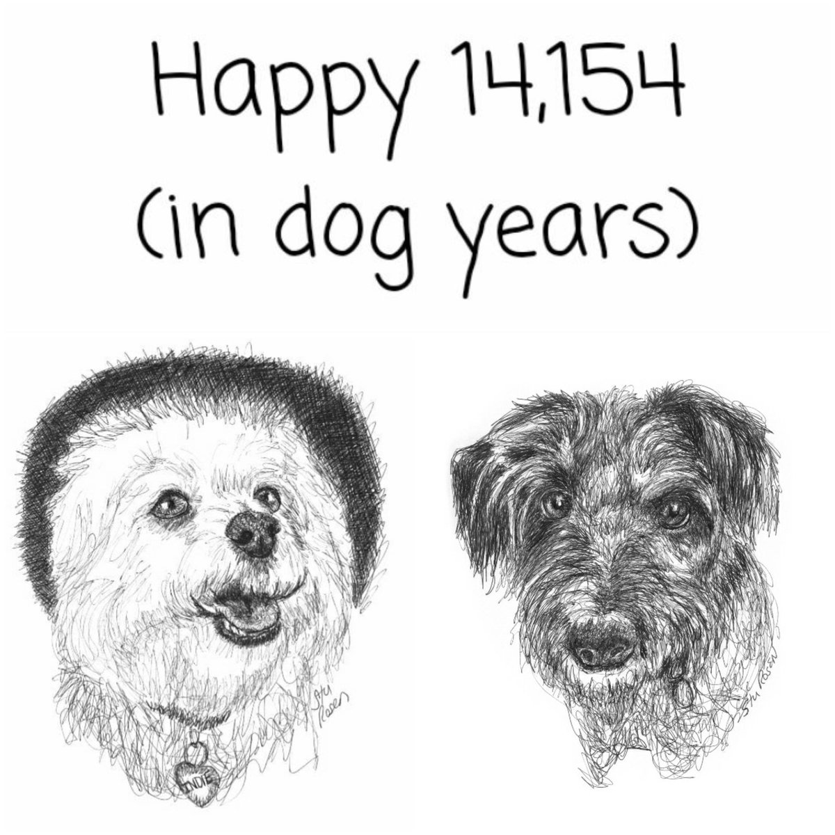 Better than 14,147...