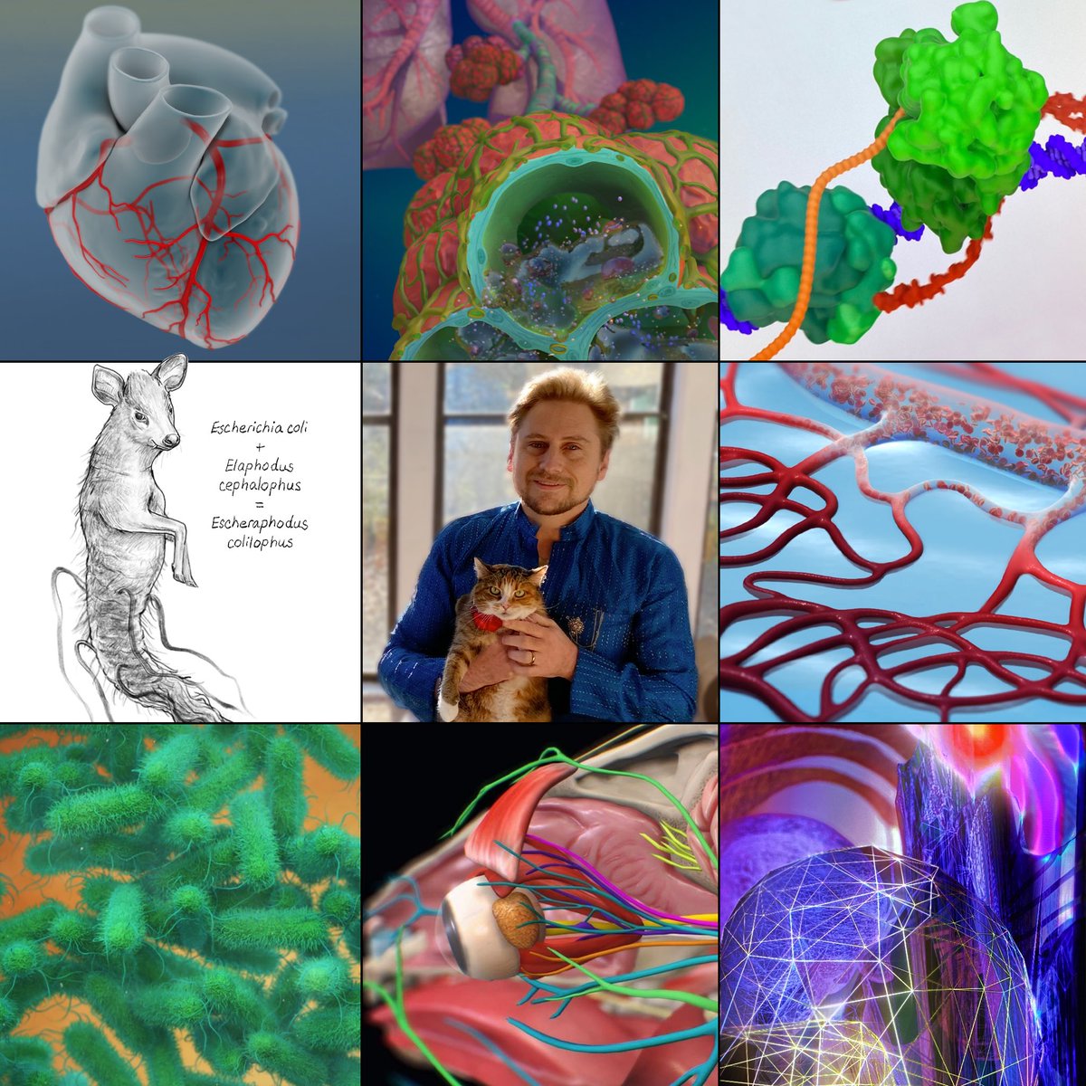 Art vs. artist to ring in the new year. Some cool/interesting projects this year
#artvsartist #artvsartist2021 #medicalillustration #medicalillustrator #sciart #illustration #happynewyear