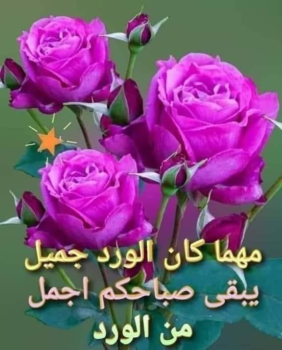 أبو تركي (@rdnsalem) on Twitter photo 