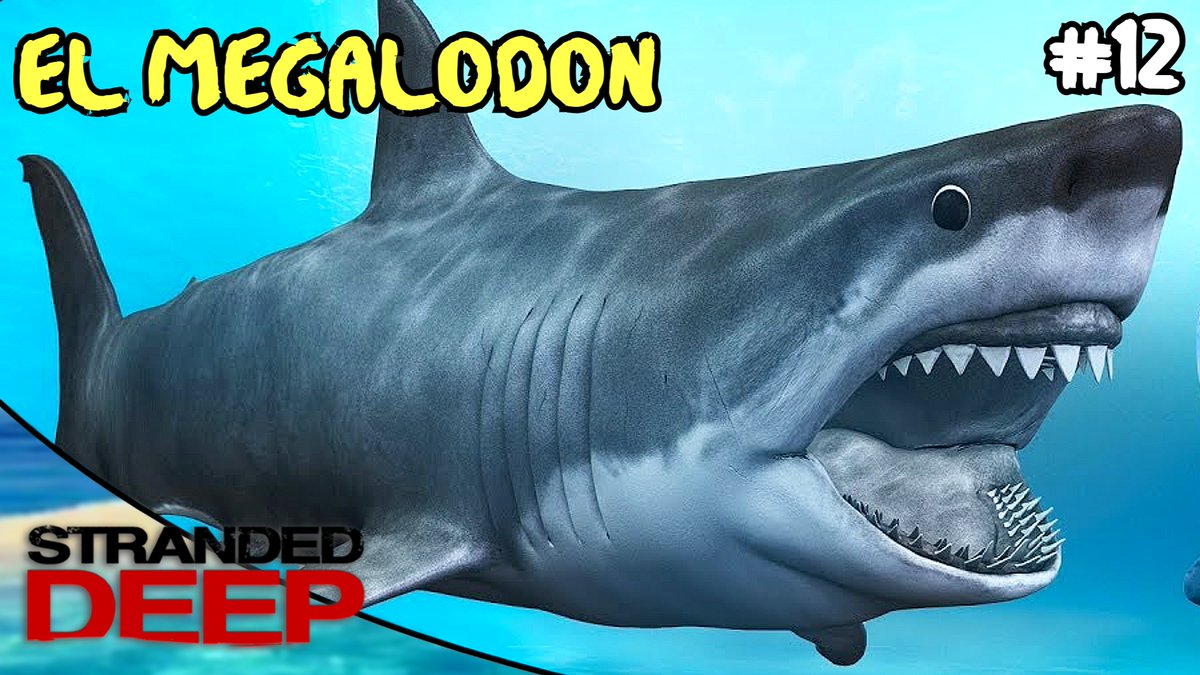 WanchanPlay's tweet image. Enfrentamos al Megalodon 🦈
youtu.be/Kpo11VVVK00


#WanchanPlay #strandeddeep #strandeddeepgame #strandeddeepgameplay 
@TheStrandedDeep