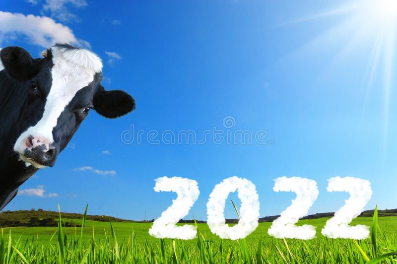 Cavan Grassland Consultancy tweet media