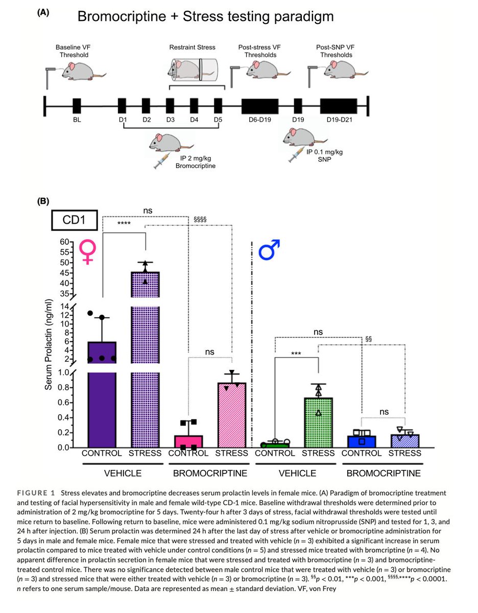 HeadacheJournal's tweet photo. #Prolactin signaling modulates stress-induced behavioral responses in a preclinical mouse model of #migraine 
Bianca Mason PhD, Rohini Kallianpur, @UTDPainLab, Armen Akopian PhD, Gregory Dussor PhD 
https://t.co/KJIncRvPiN https://t.co/jQt60A0g1Z
