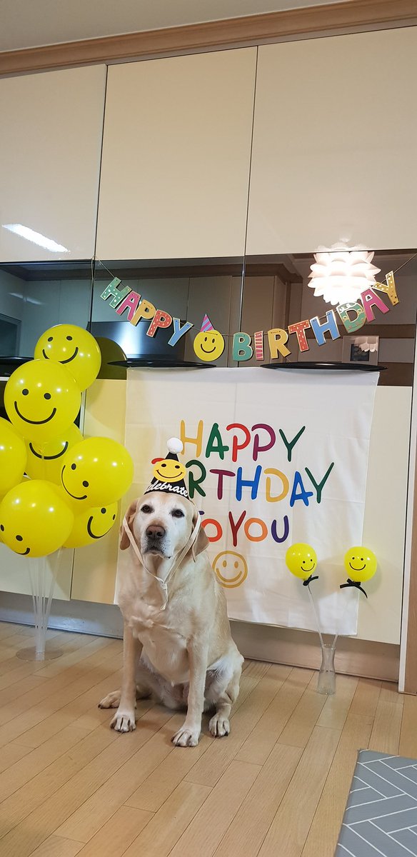 Boram_SILVER's tweet photo. 보람이 10살~~~!
건강하게 오래살자 보람아🥳🥳🥳🥳 https://t.co/DT3ZOUqbhU