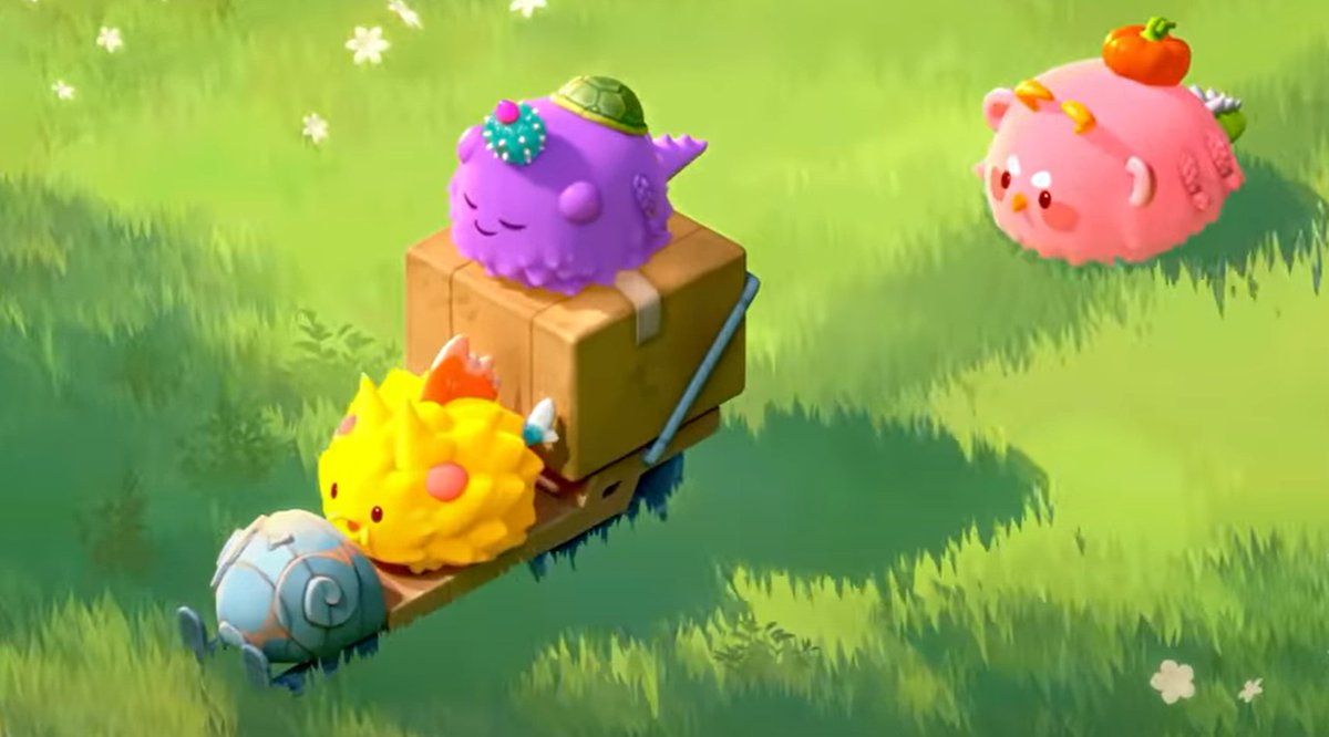 Nash Nolan tweet media