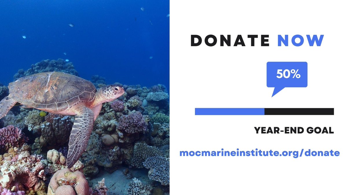 Turn 2022 blue! With less than 12 hours until the new year, we need you to act now to help us meet our year-end goal. - mailchi.mp/91869c0f6922/t…