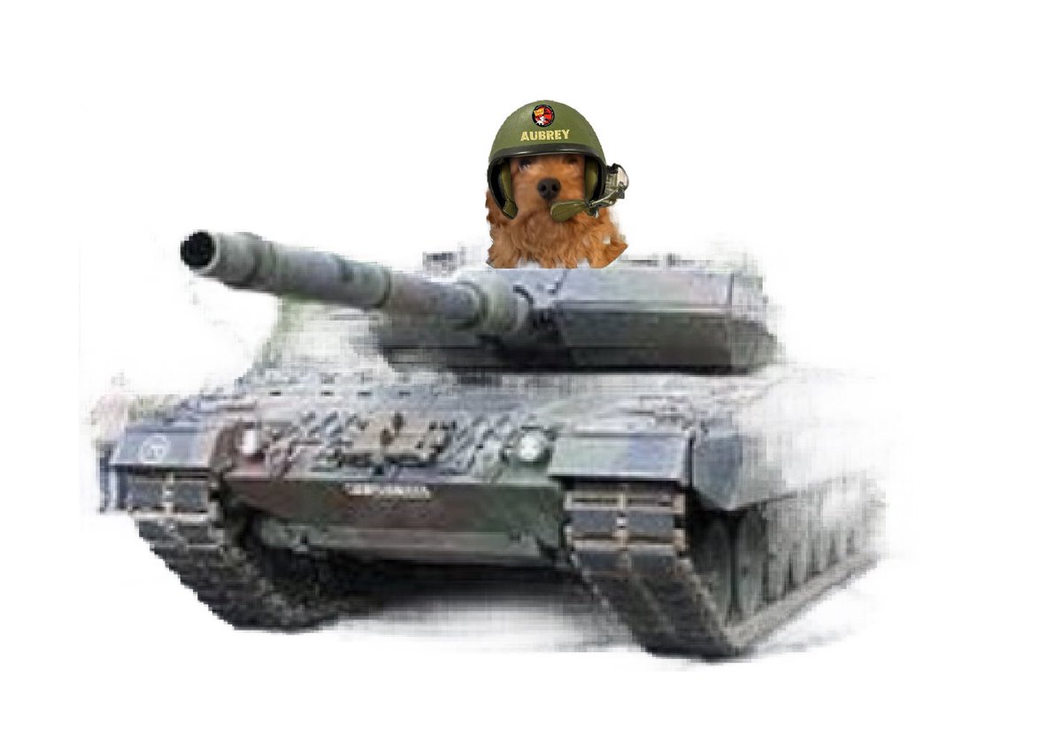 Ready to partay &amp; fight zoms! #ZSHQ