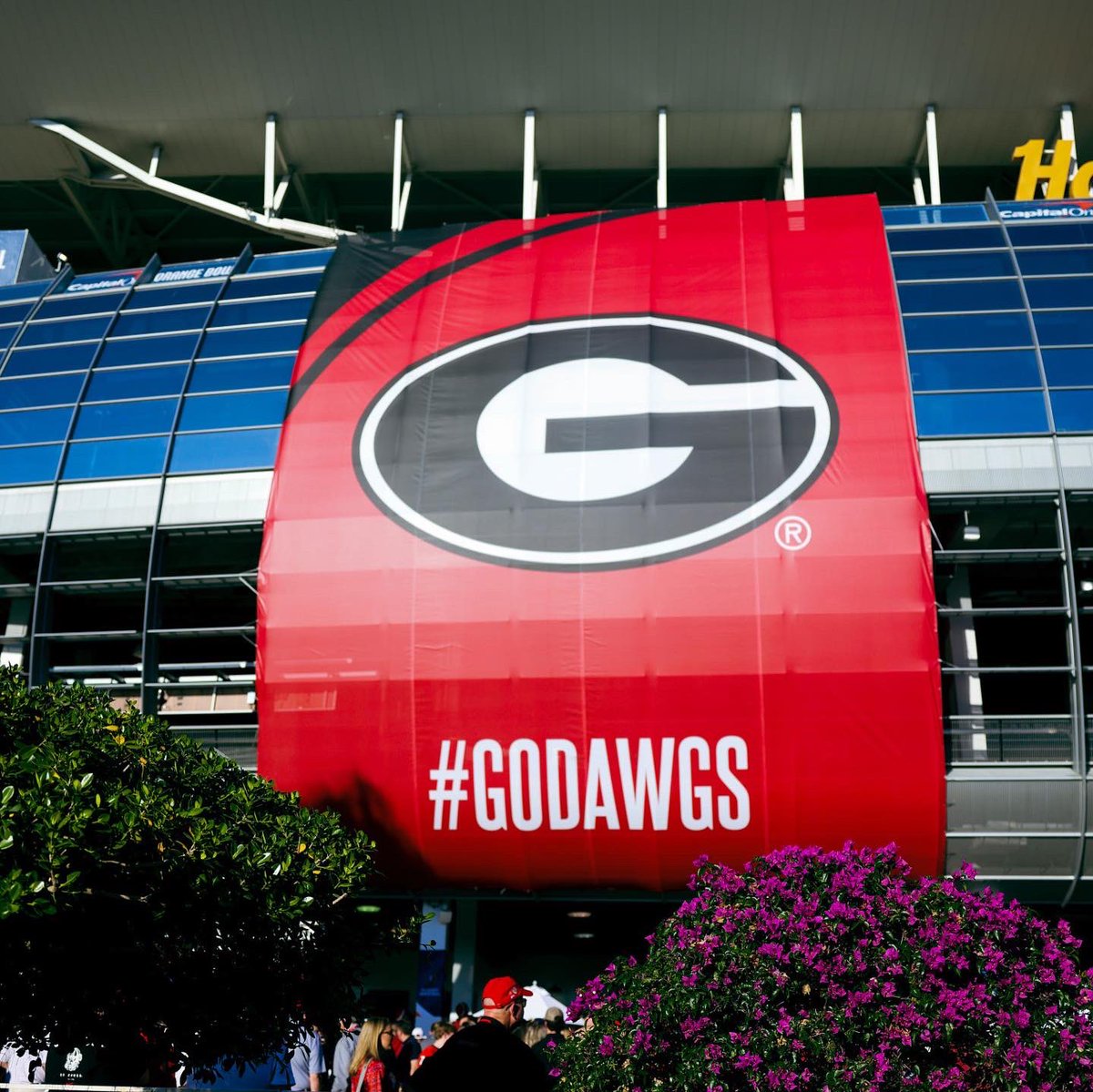 Southeastern Conference tweet media