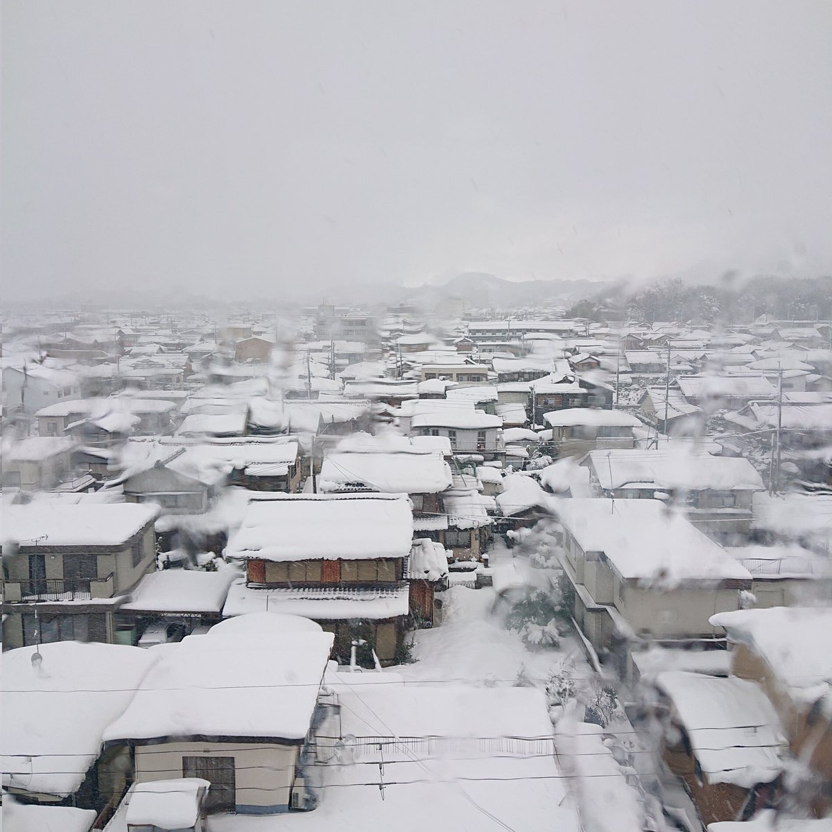 Milk_choco_poco's tweet image. 皆さん、明けましておめでとうございます！
昨日からこちらは又雪が降ってますが、雪かきの影響で筋肉痛がヤバい…。コロナワクチンの時はどうもなかったのに、今日はマジで腕があがりません。
#彦根 #大雪 #雪かき