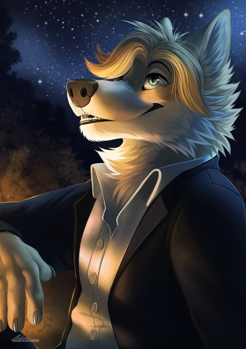 ✨ Silvixen ✨ tweet media