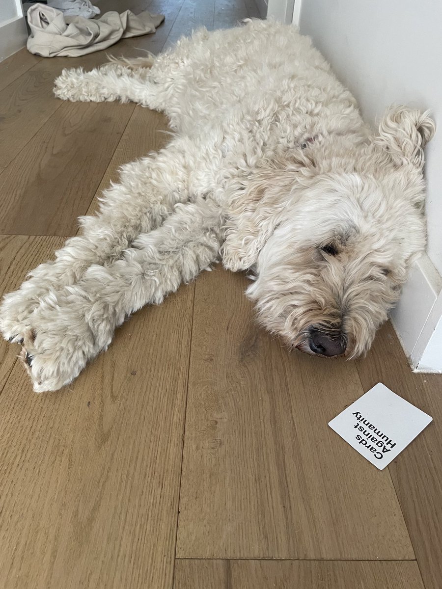 Prof Jane Munro tweet media