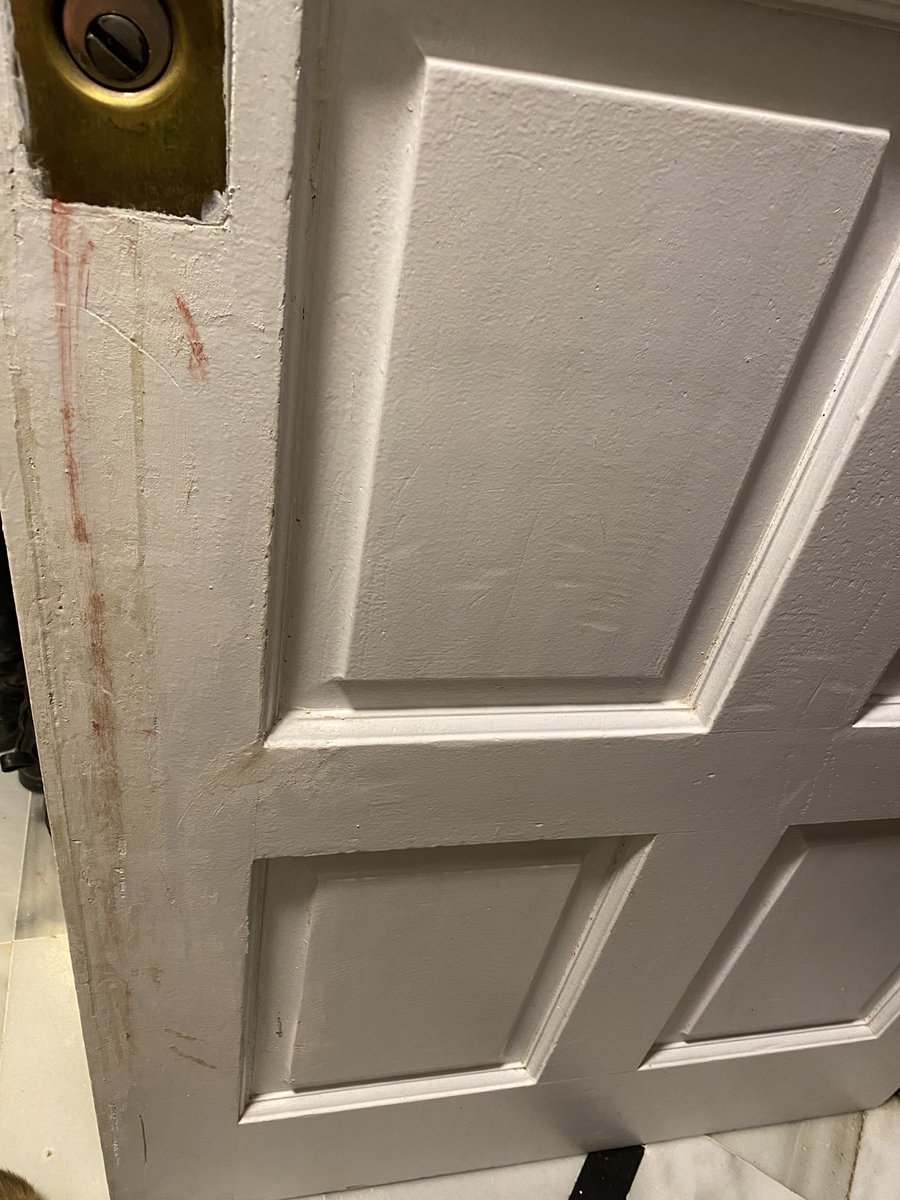 fidel_FQ's tweet photo. Con los cohetes y petardos, Pyro entra en pánico
Arañando la puerta de la casa para llamarnos se ha herido la almohadilla con una astilla
Ahora ya duerme tranquilo dentro de casa
No comprendo que haya gente que para divertirse hagan sufrir a otros… hace dudar de su racionalidad https://t.co/huuv6Oqp6m