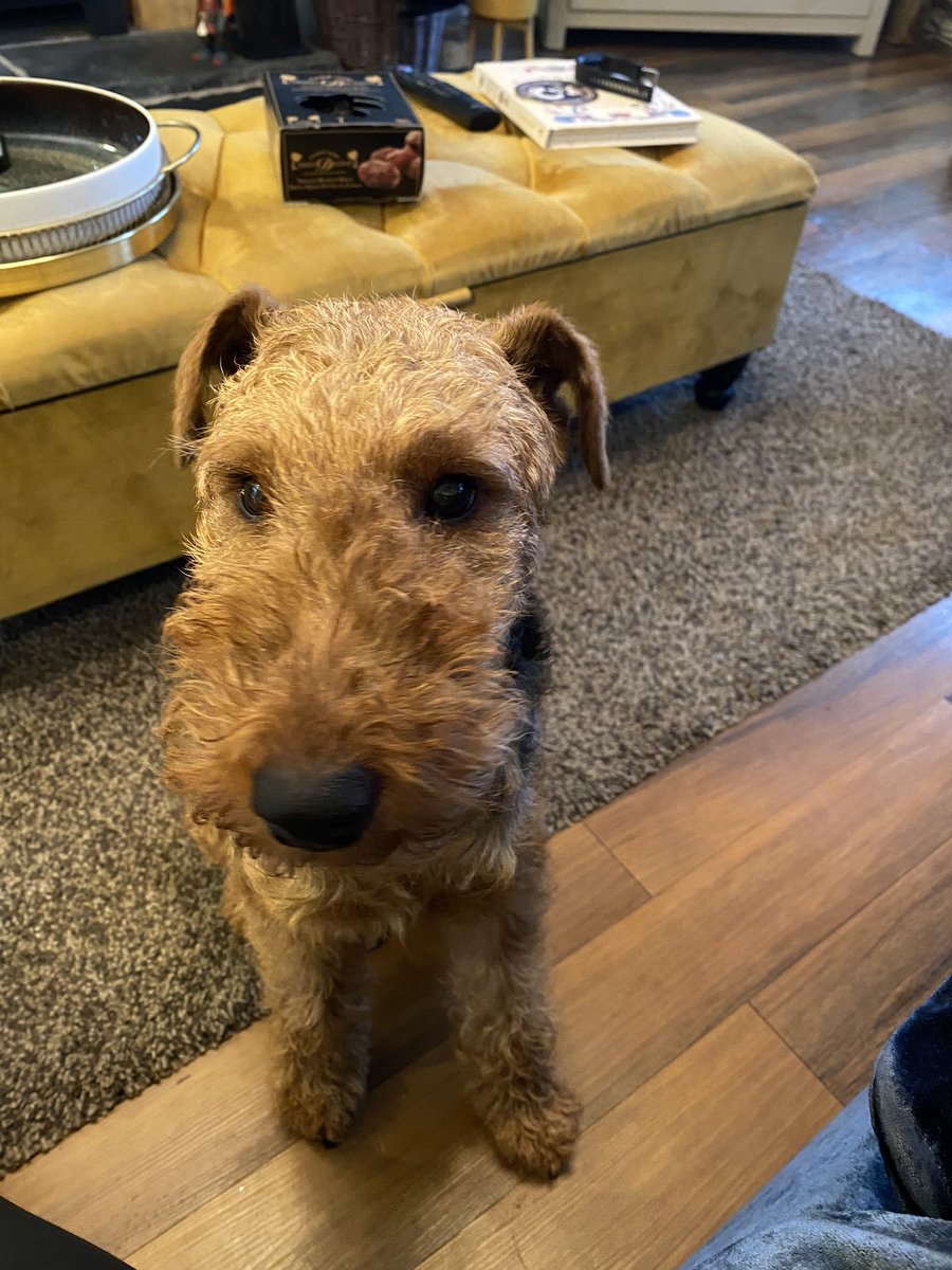 Flynn & Estée Plumbly tweet media