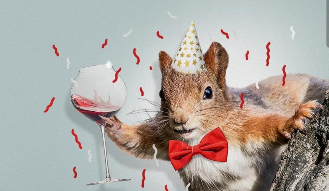 SquirrelWestend's tweet photo. Happy New Year! https://t.co/a9wHDjhBKf