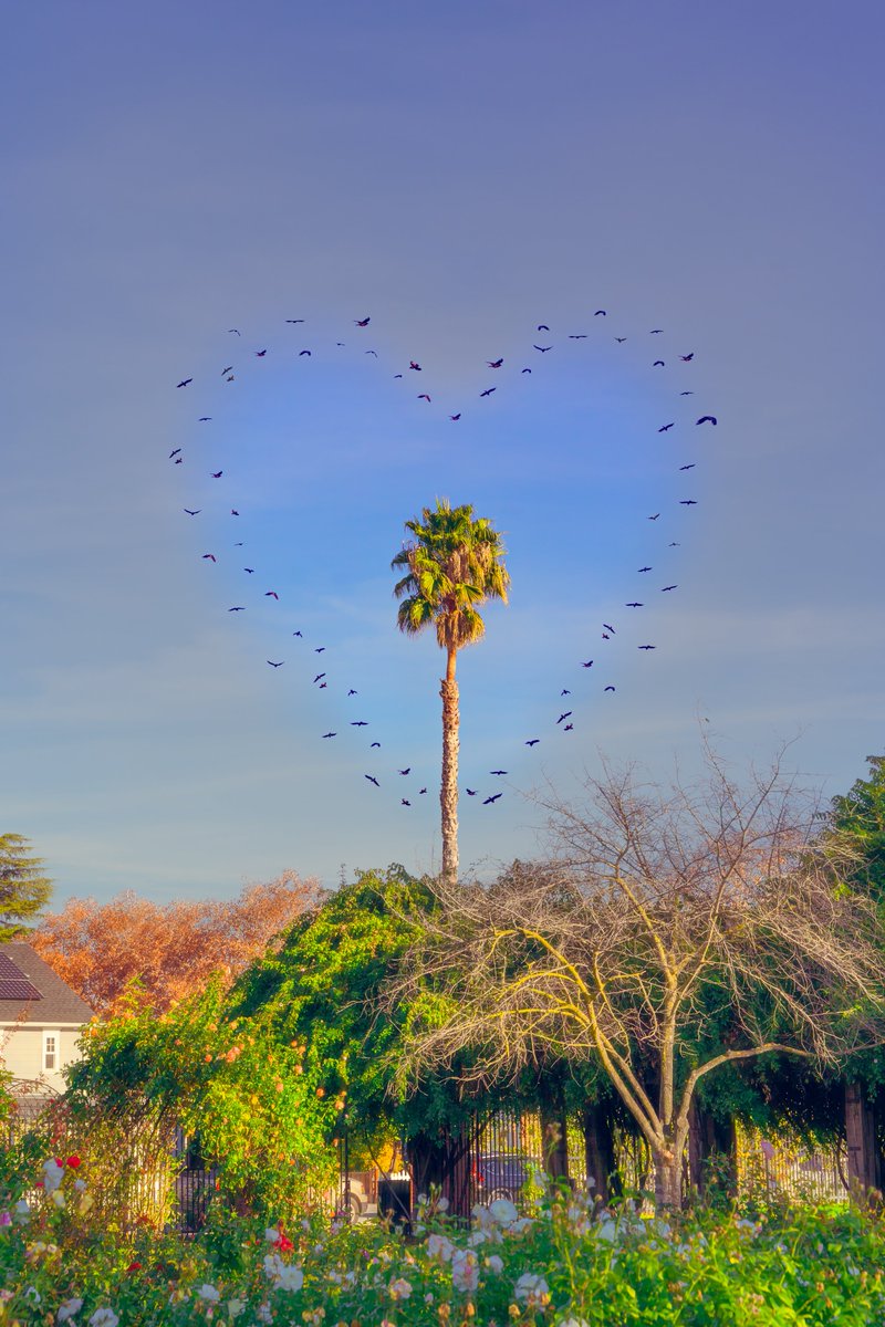 photos I took about love