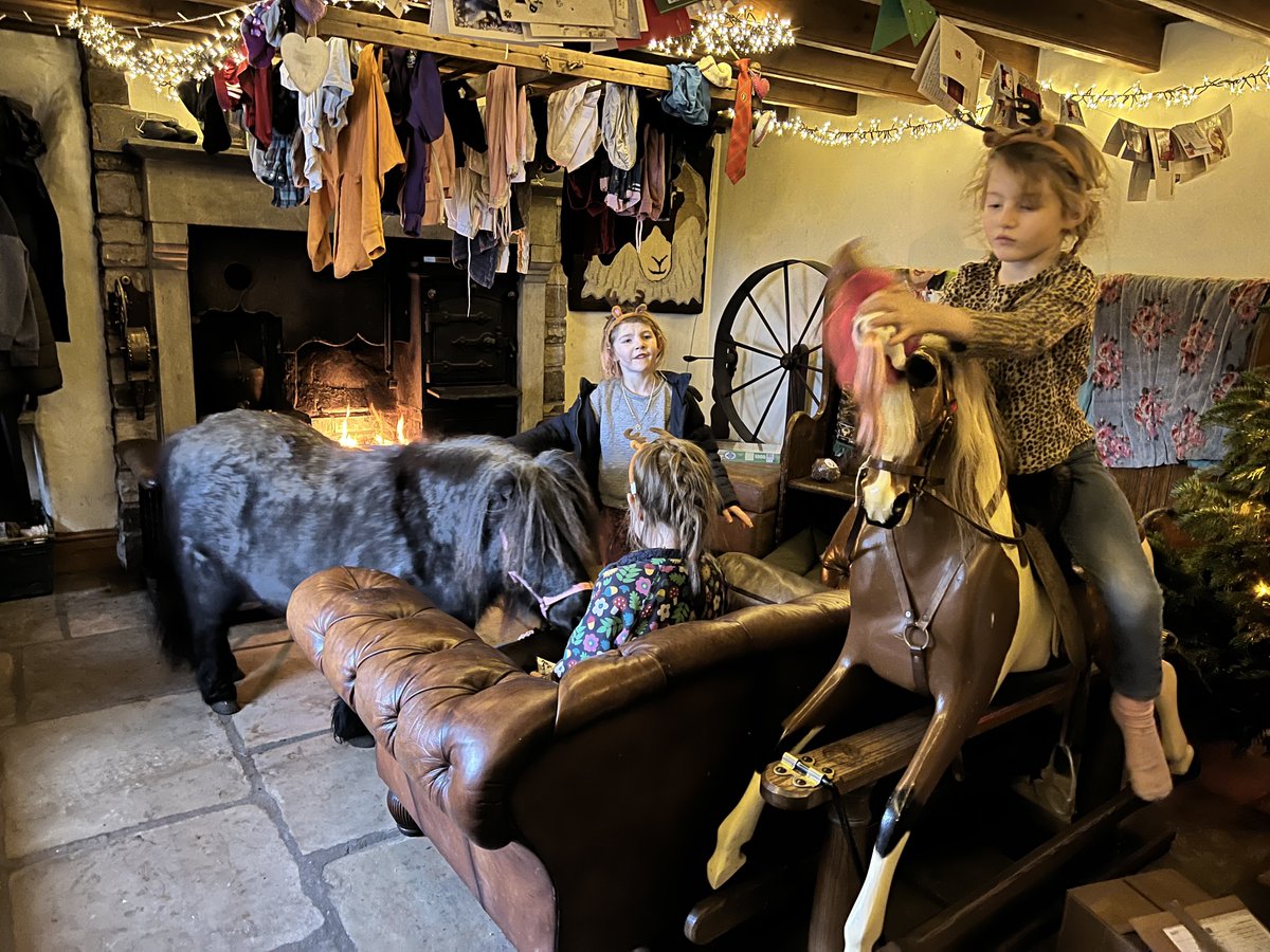 AmandaOwen8's tweet image. Care, and not fine stables make a good horse 🐴 ❤️❤️❤️
~Proverb~

Happy New Year to you all 🎉 
#HAPPYNEWYEAR2022