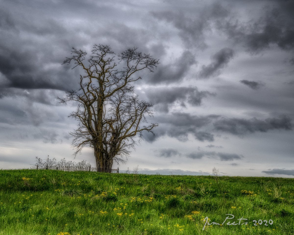 The People’s Choice award for Photo Art 2021 goes to Jim Peets for his image Secure.
napaneephotoclub.ca/photo-art-show/