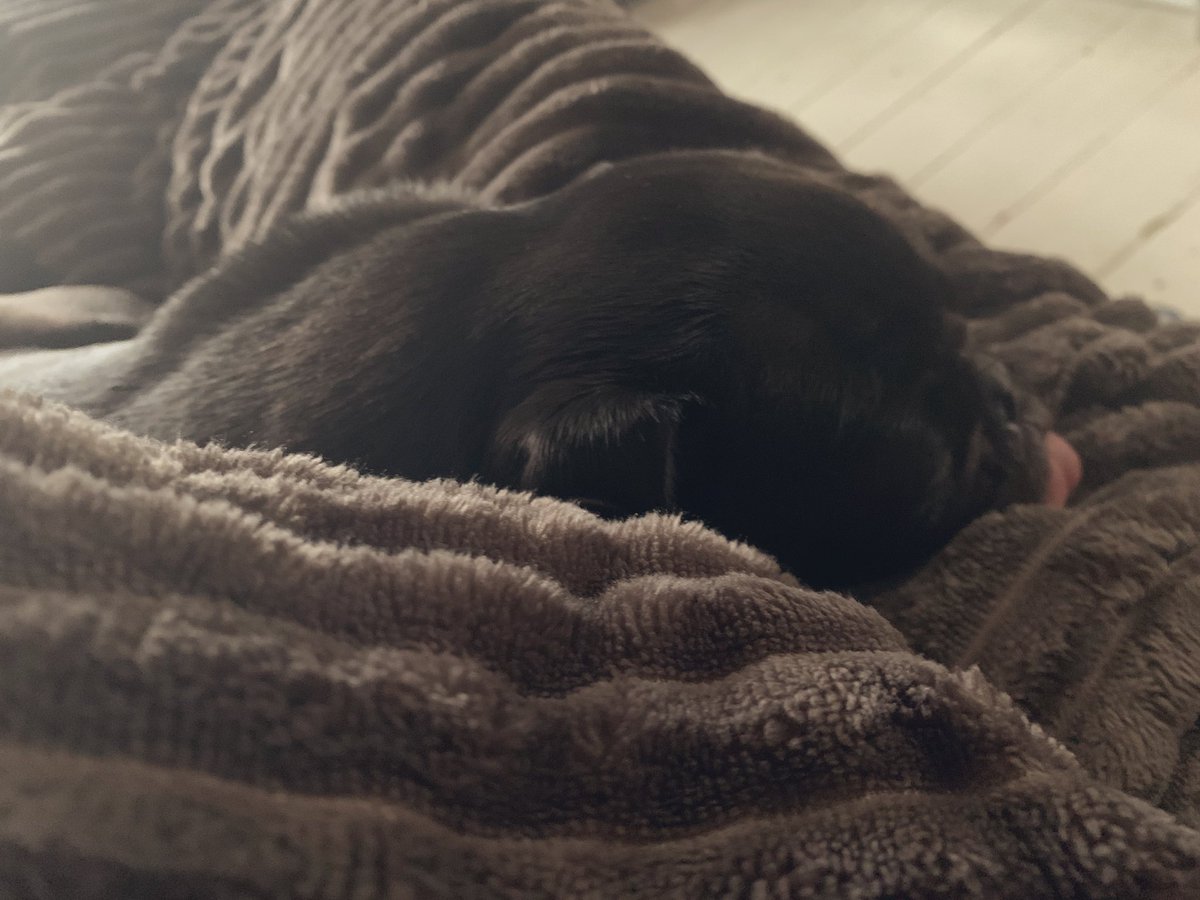 MsLadyPhyll's tweet photo. Happy New Year Everyone: House is clean (as always), washing done, bedding changed, I’ve showered like I’m going out on the town, having mint tea, dog is snoring and I’m in my comfy pyjamas & I’m watching Netflix #ThisFeelsGood enjoy and be safe with whatever you are doing🤍 #HNY https://t.co/tkSIFdjpdG