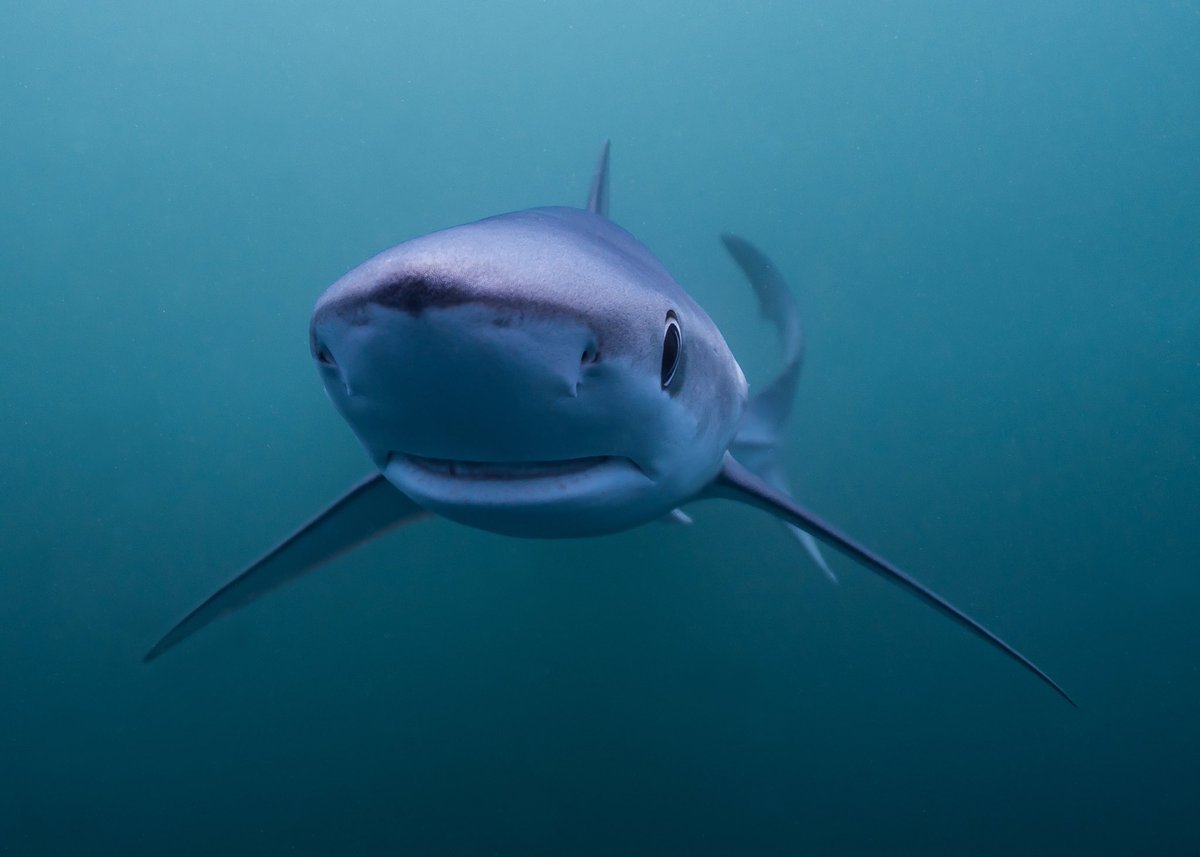 Aaron Barrett tweet media