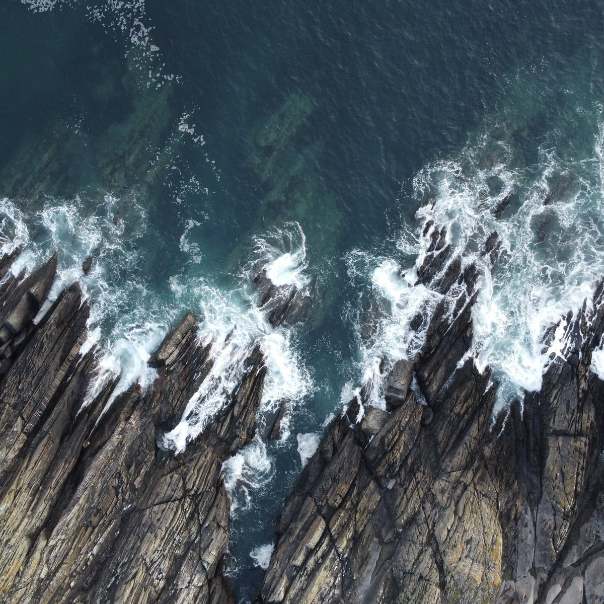 Aaron Barrett tweet media