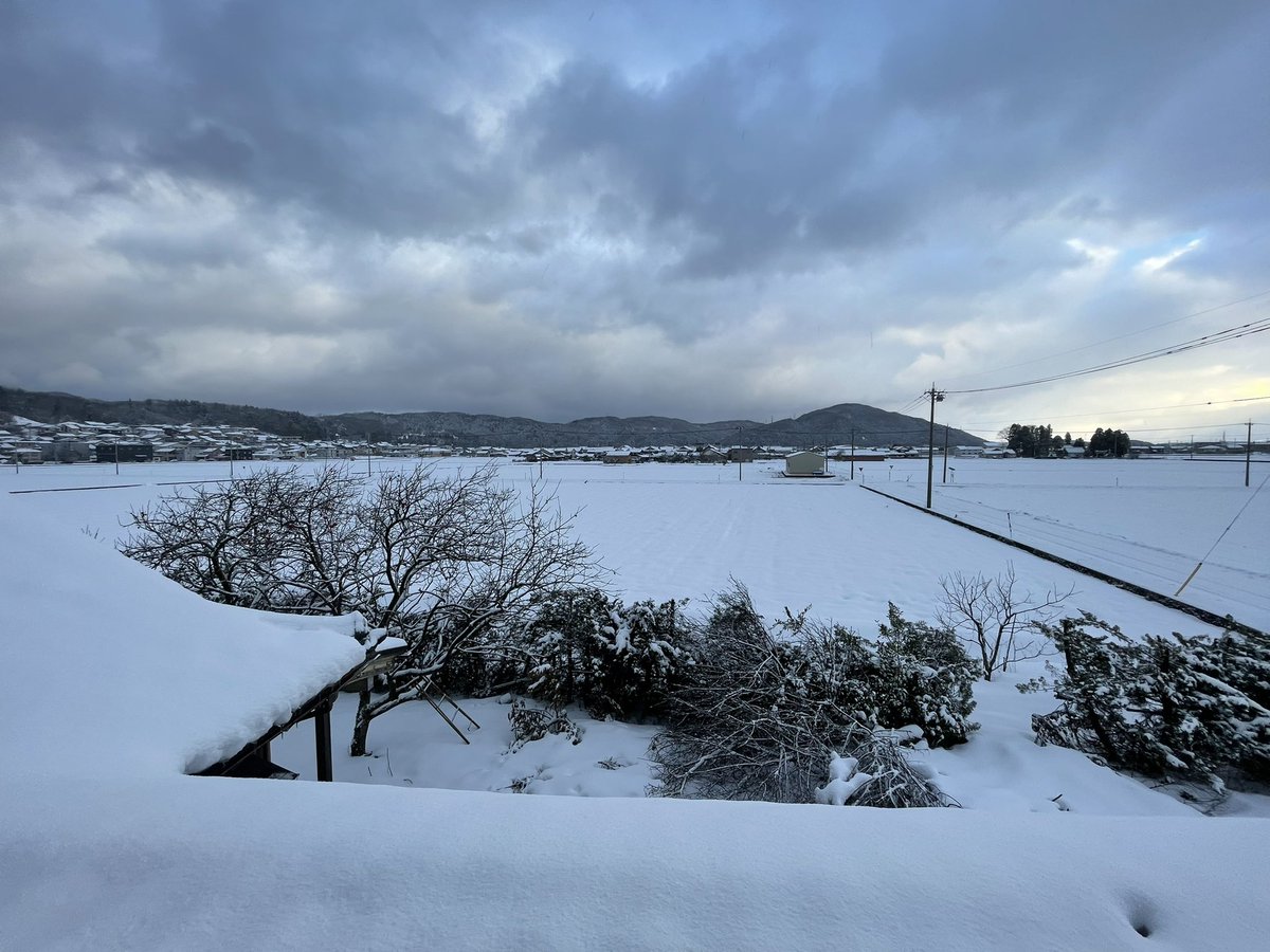 雪☃️ https://t.co/xRMNsnp1KC